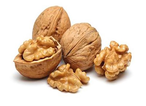 خرید و فروش گردو عمده تویسرکان با شرایط فوق العاده